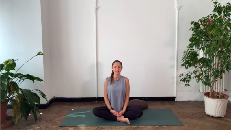 Carola Pisano tiene la seconda lezione del corso di yoga per persone con disabilità agli arti